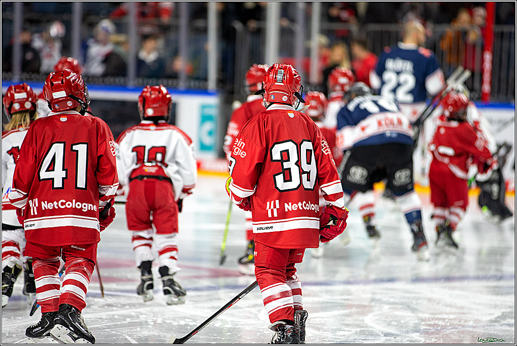 PENNY DEL; Koelner Haie- Nuernberger Ice Tigers; Koeln, 29.01.2023